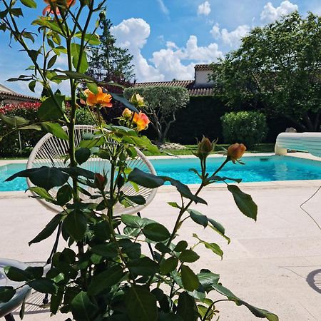 Petit Gite De Provence Mazan Exterior photo